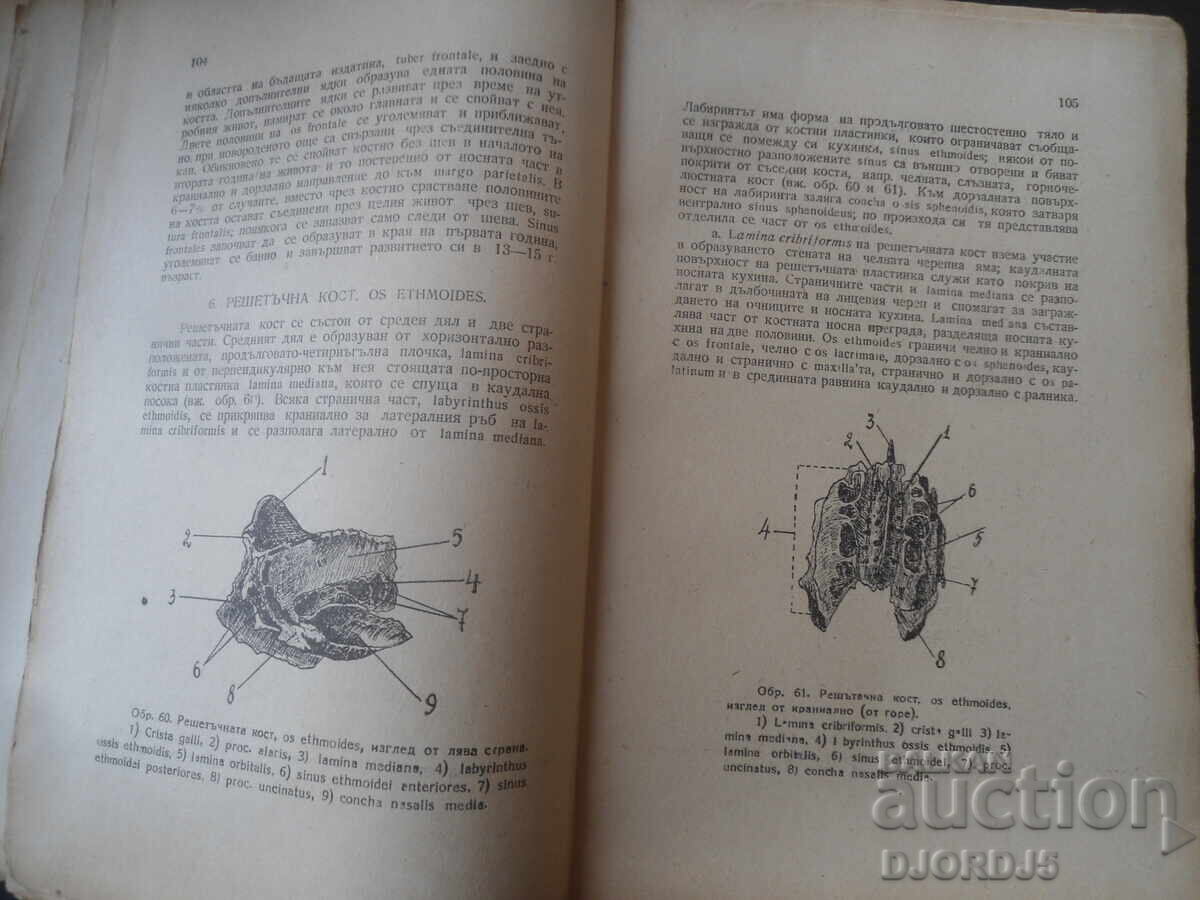 Livrarea ANATOMIA aparatului locomotor uman, Partea întâi