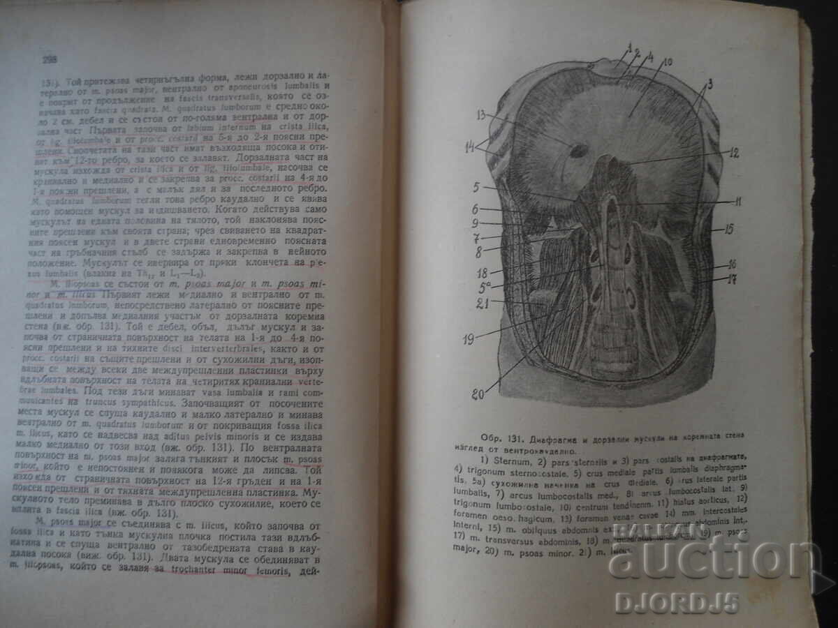 ANATOMIA aparatului locomotor uman, Partea întâi - 5
