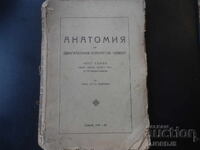 АНАТОМИЯ на двигателния апарат на човека, Част първа