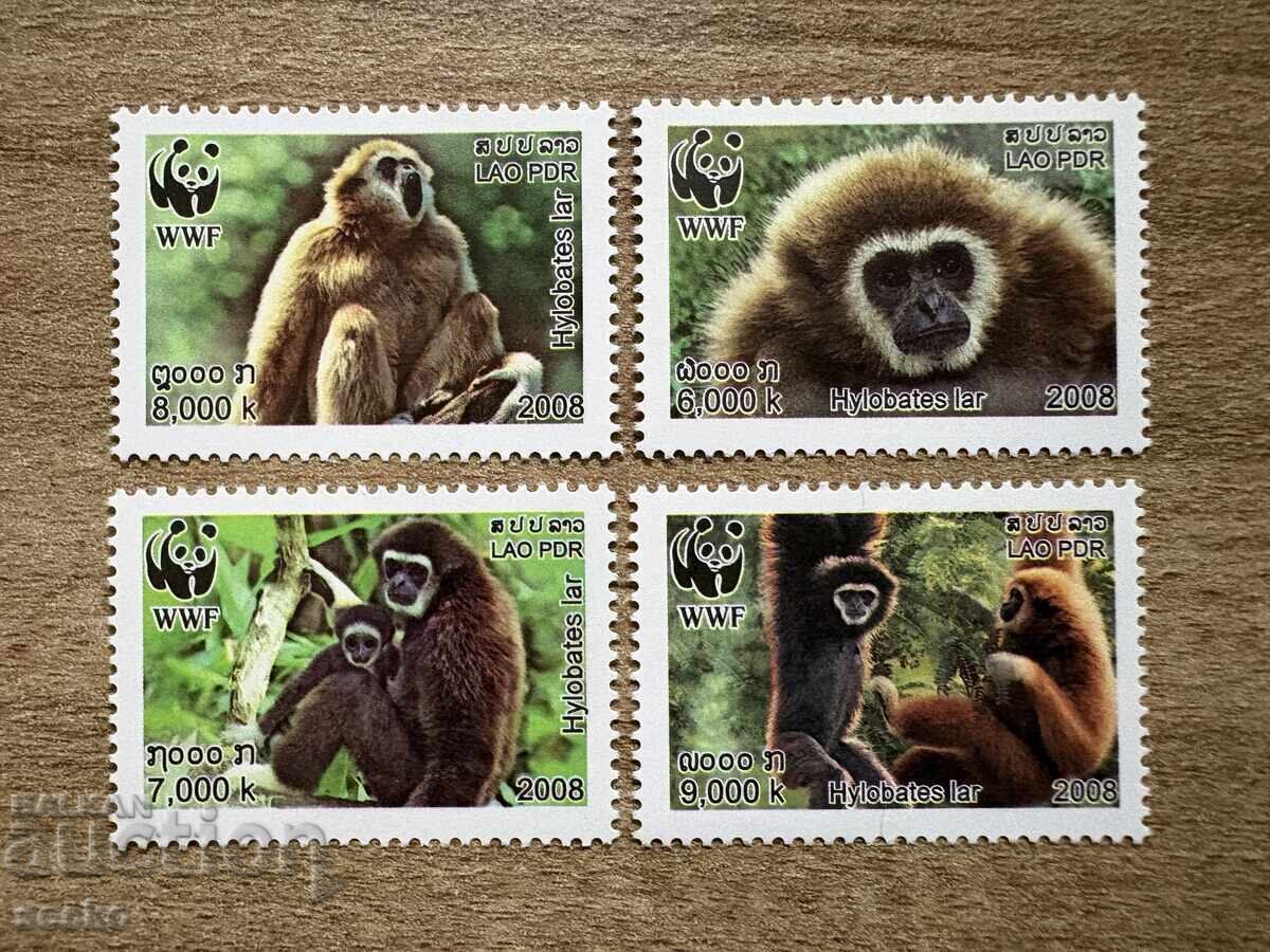 Laos - Gibon cu mâini albe (2008) MNH
