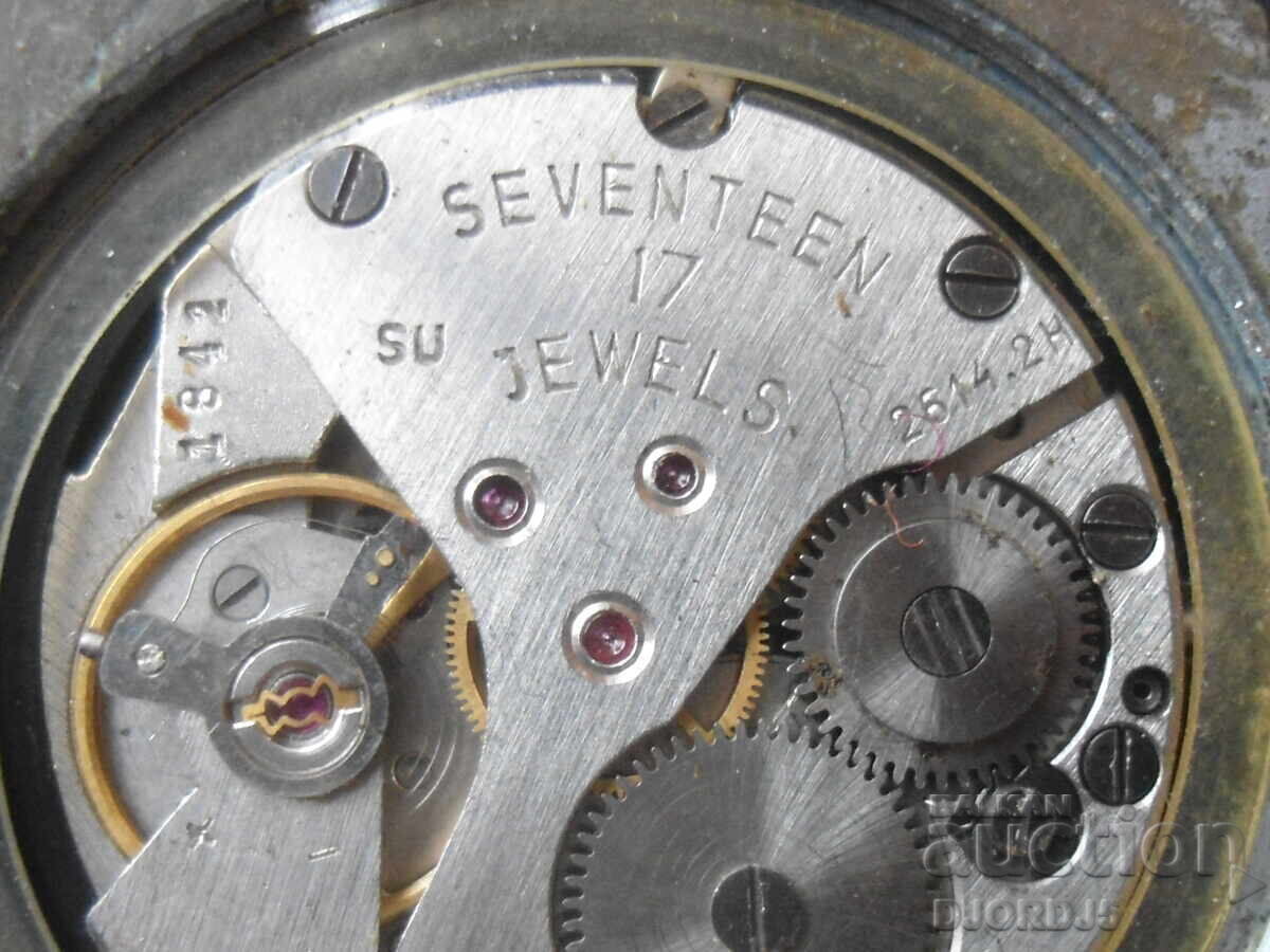 Delivery of "POLJOT" Wristwatch