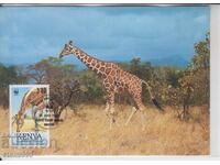 Carte poștală FDC MAX GIRAFFE KENYA