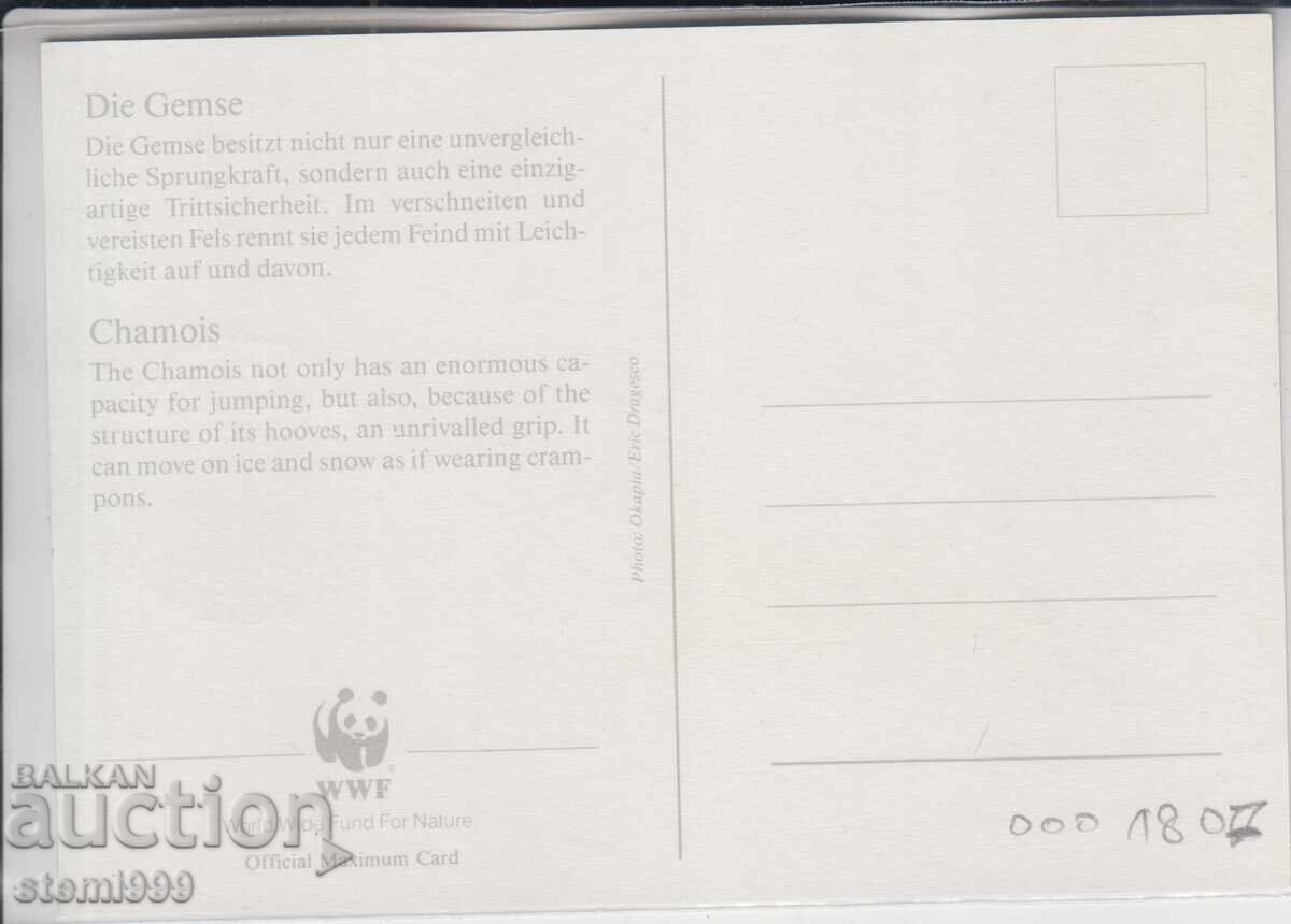 Пощенска карта FDC MAX WWF ЖИВОТНИ с цена € 0.80 | 1.56 лв.