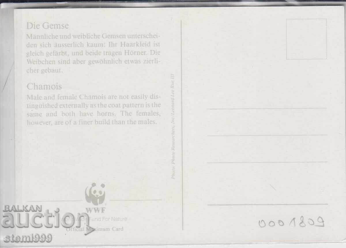 Postcard FDC MAX WWF ANIMALS with price € 0.80 | 1.56 BGN