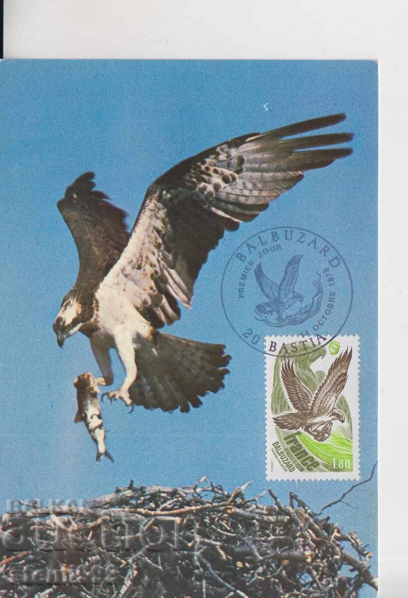 Postcard FDC MAX ANIMALS