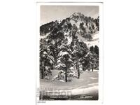 България, Бъндерица над хижата, пътувала, 1942 г.