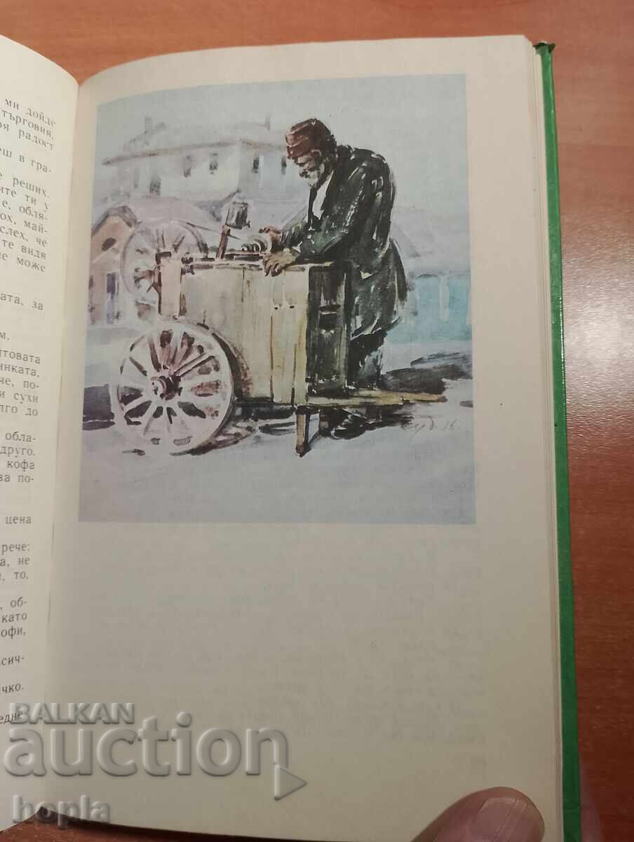 Licitație Chudomir SUB LINIA COLORATA