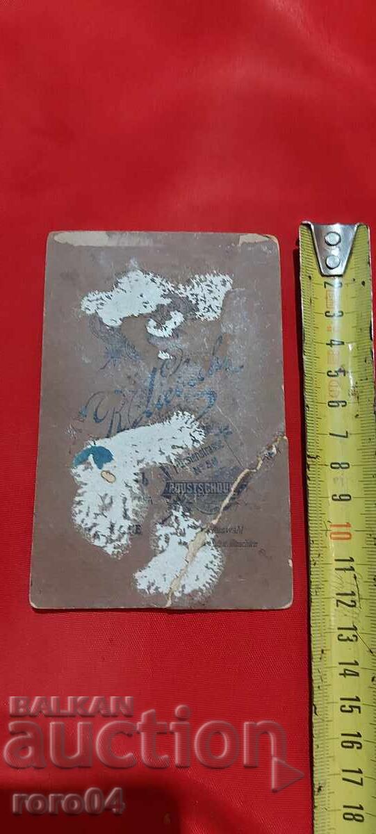 NOSII - RUSE - KARTON - 5