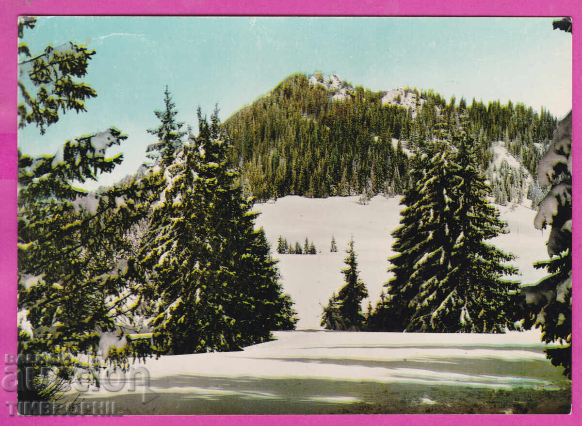 324068 / Θέρετρο "Βασίλ Κολάροφ" / ΠΑΜΠΟΡΟΒΟ/ PK Α-1