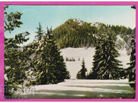 324068 / Θέρετρο "Βασίλ Κολάροφ" / ΠΑΜΠΟΡΟΒΟ/ PK Α-1