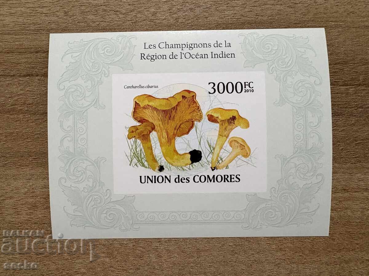 Κομόρες - Μανιτάρια (2009) MNH