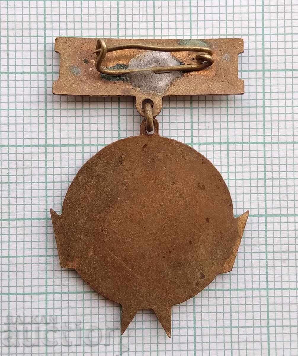 Auction 19510 Pioneer Badge - Radetzky Steamboat 1966 - bronze enamel Auction 19510 Pioneer Badge - Radetzky Steamboat 1966 - bronze enamel