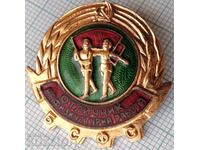 19511 Badge - Excellent in Physical Education Work - enamel