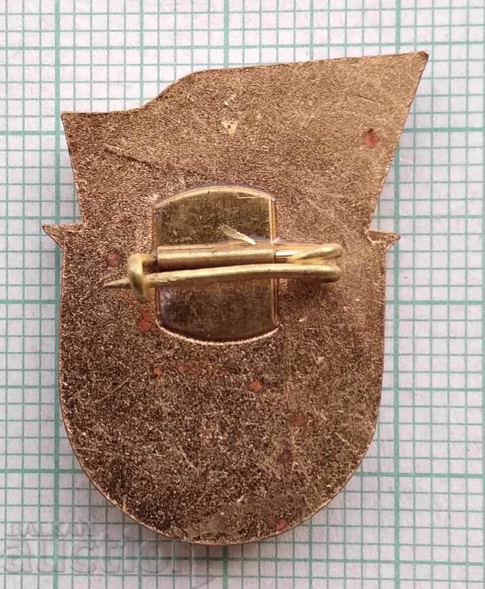 Licitație 19518 Insignă - Sportiv Războinic gradul III - email