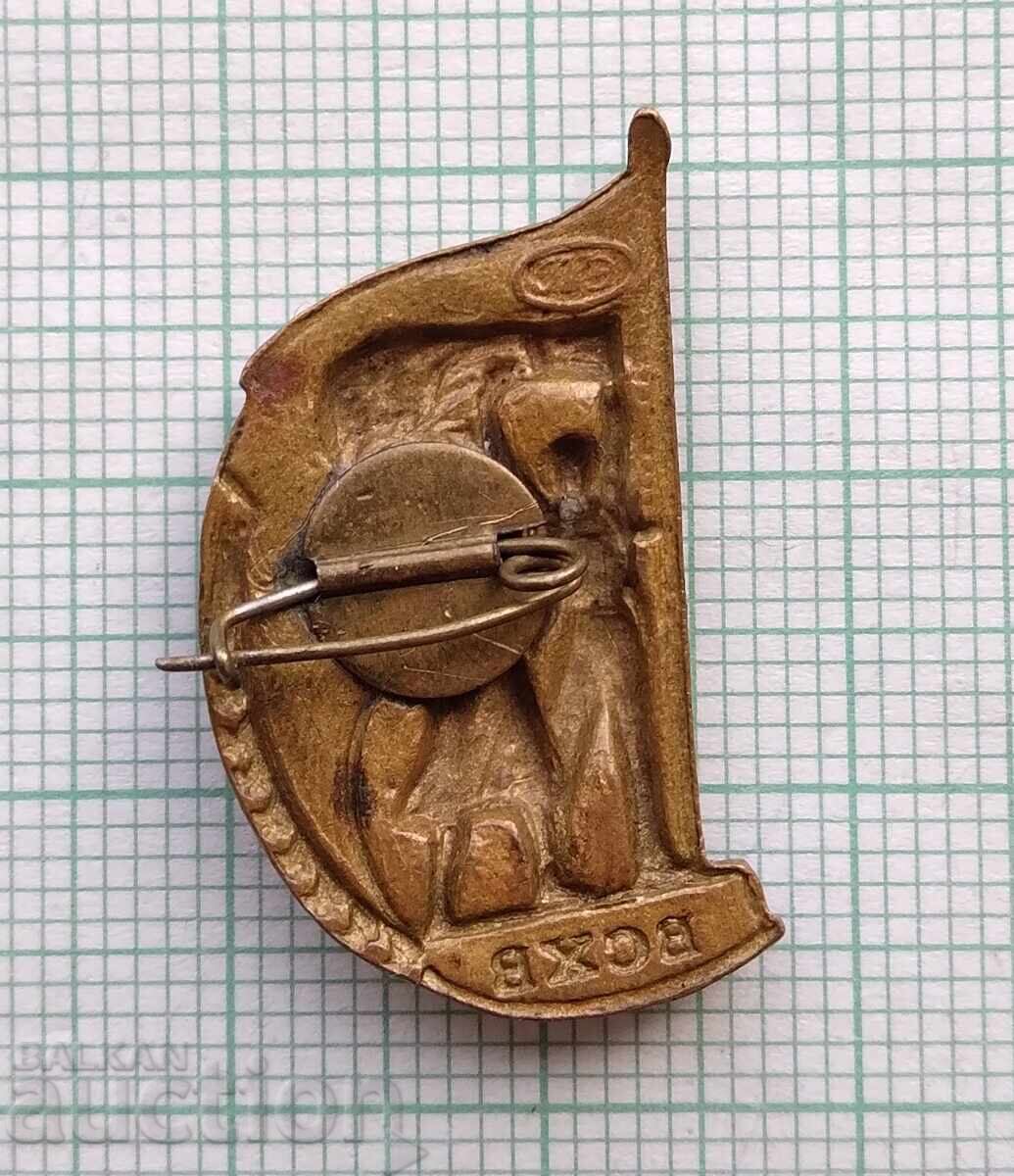 Licitație 19526 Insignă - VSKhV Expoziție URSS - bronz email