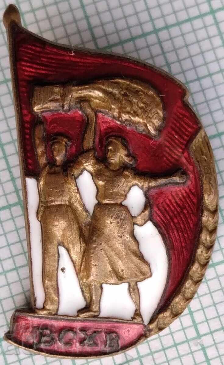 19526 Insignă - VSKhV Expoziție URSS - bronz email