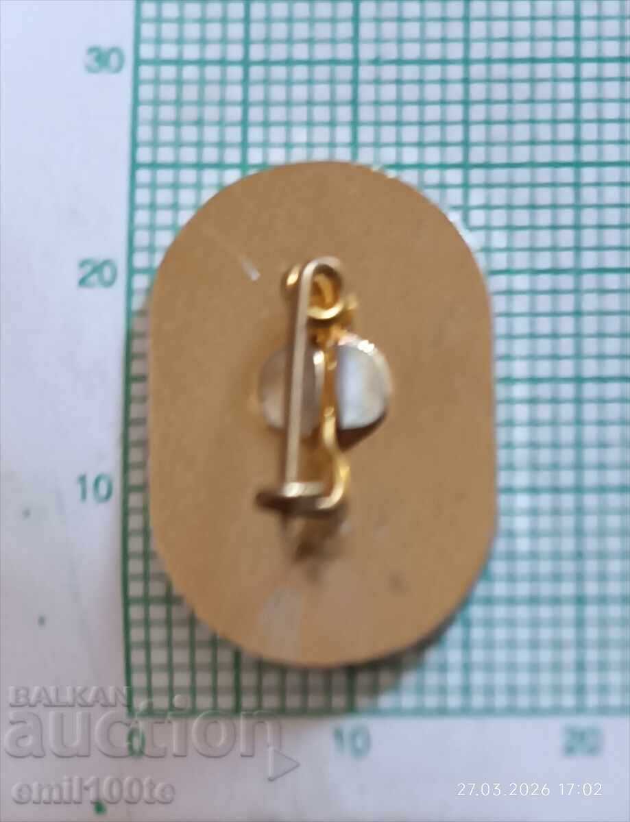 Licitație Insignă - Consiliul Raional BSFSTolbuhin Licitație Insignă - Consiliul Raional BSFSTolbuhin