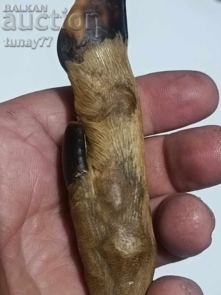 ΚΥΝΗΓΕΤΙΚΟ ΜΑΧΑΙΡΙ SOLINGEN ΜΕ ΣΗΜΑ SOLINGEN - 6 ΚΥΝΗΓΕΤΙΚΟ ΜΑΧΑΙΡΙ SOLINGEN ΜΕ ΣΗΜΑ SOLINGEN - 6