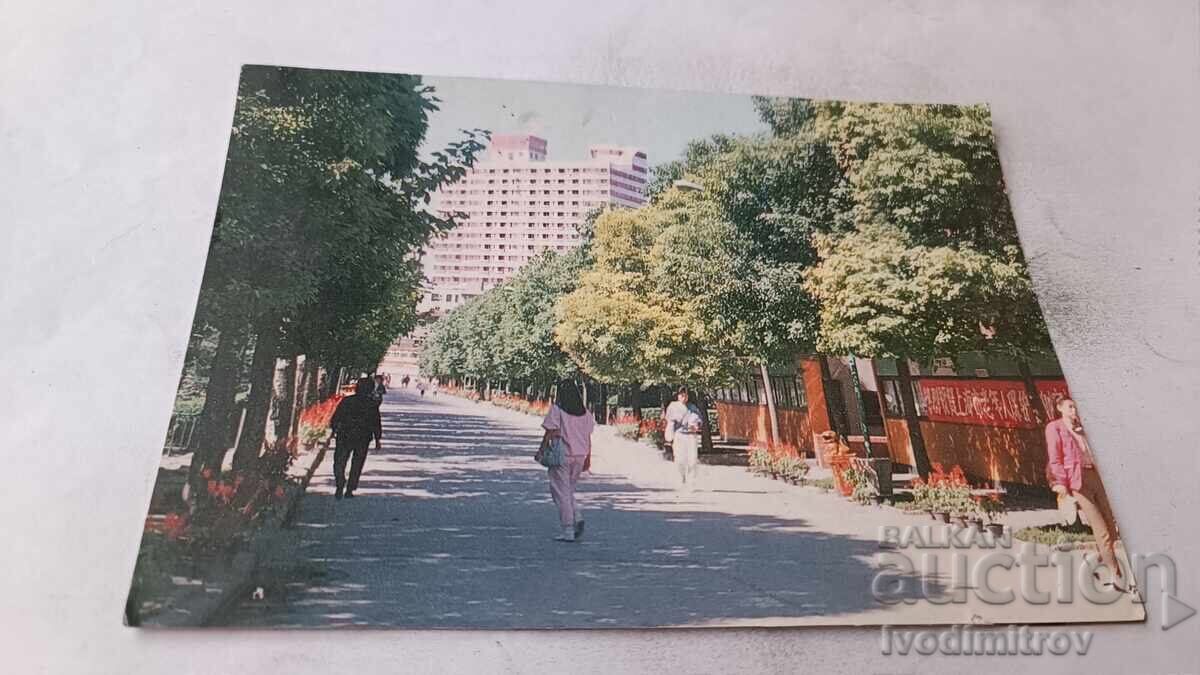 Felicitare Poștală Shanghai Boulevard