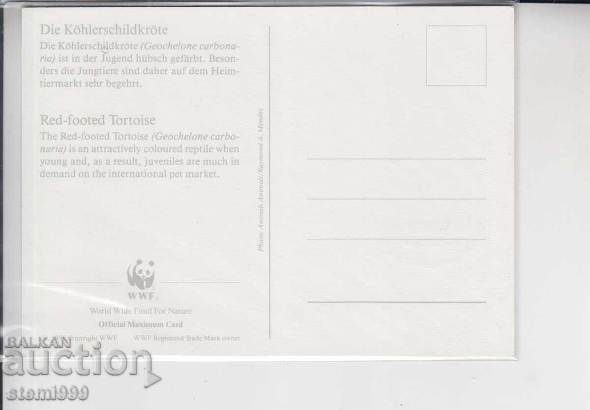 Пощенска карта FDC MAX WWF ВЛЕЧУГИ КОСТЕНУРКИ с цена € 0.80 | 1.56 лв. Пощенска карта FDC MAX WWF ВЛЕЧУГИ КОСТЕНУРКИ с цена € 0.80 | 1.56 лв.