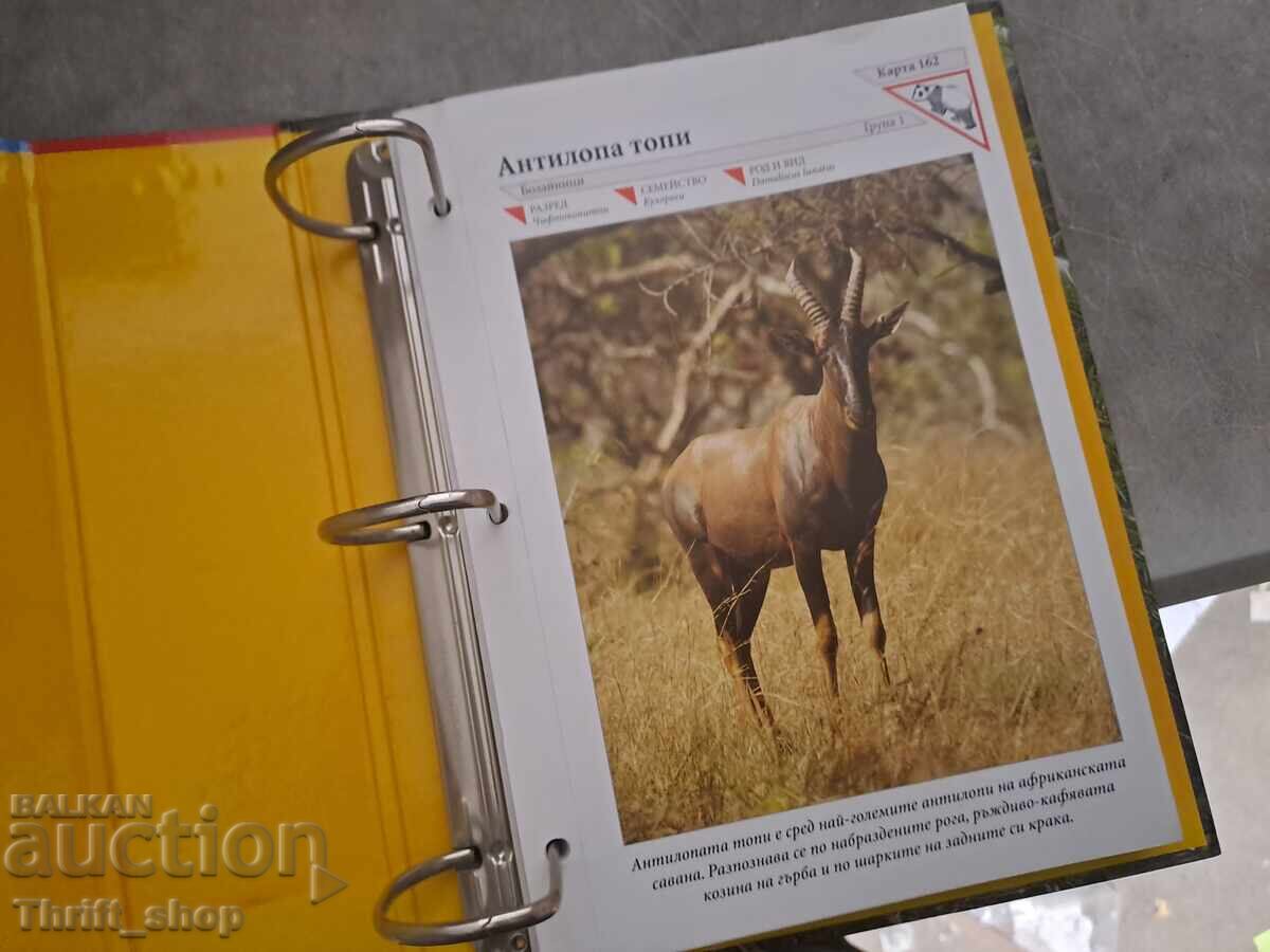 Чудният свят на животните с цена € 0.01 | 0.02 лв.