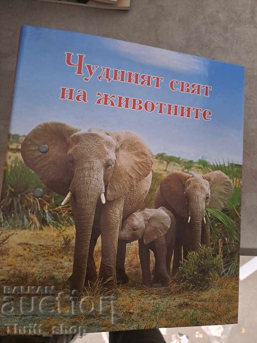 Чудният свят на животните