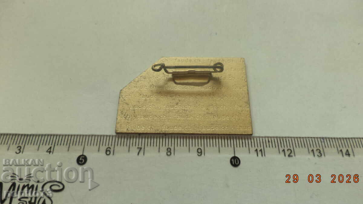 Доставка на Значка Швейцария, карнавална