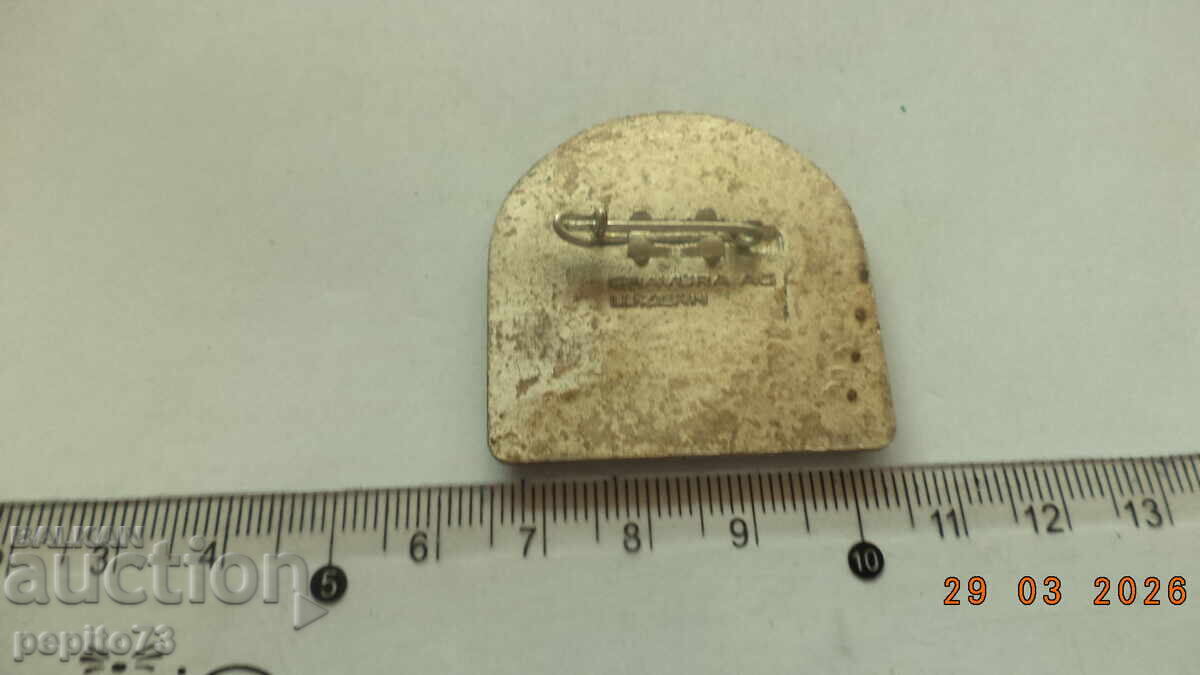 Livrarea Insignă Elveția, carnaval Livrarea Insignă Elveția, carnaval