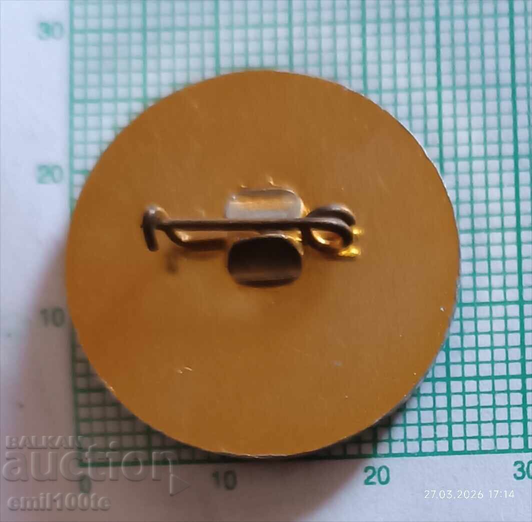 Znachka - Natsionalen tsentŭr za Shakhmatna informatsiya - 5 Znachka - Natsionalen tsentŭr za Shakhmatna informatsiya - 5