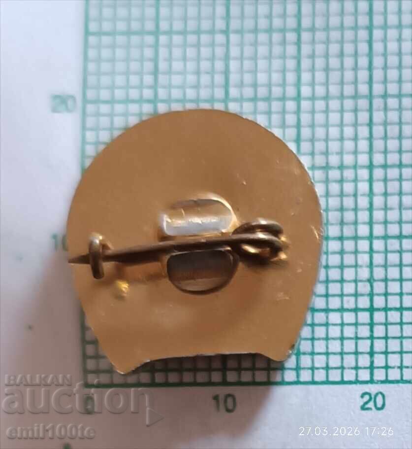 Ecuson - BFKS Bŭlgarska federatsiya konen sport - 5