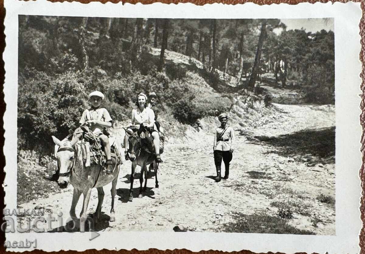 Νησί Θάσος για χωριό Παναγία 1942 με τιμή € 14.99 | 29.32 BGN