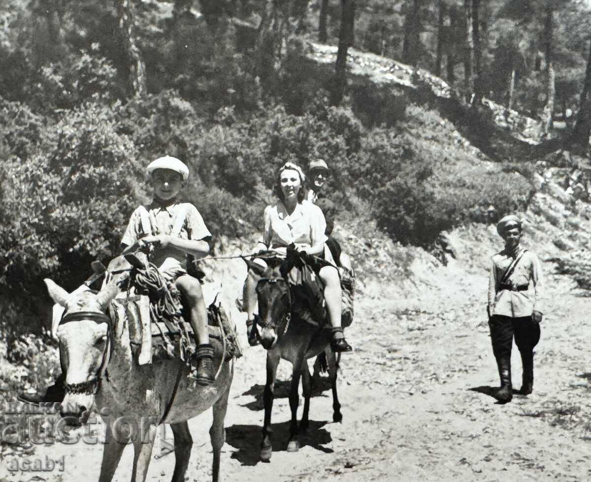 Δημοπρασία Νησί Θάσος για χωριό Παναγία 1942
