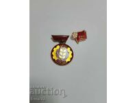 Lot excellent student MZHP and May 1 - badges