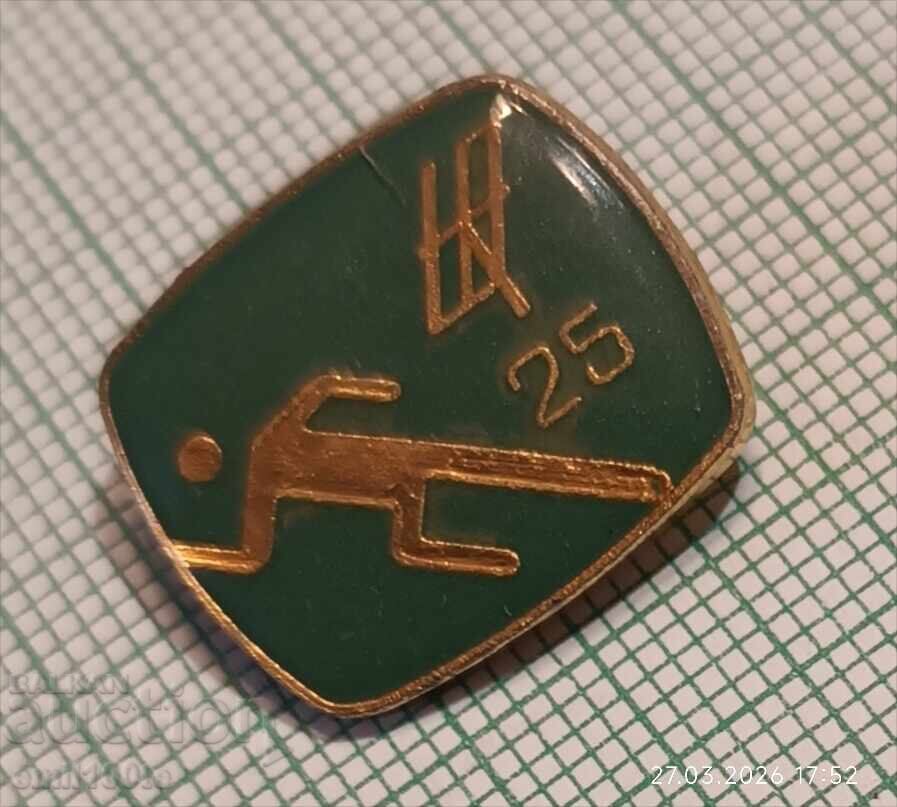 Значка- 25 години БНТ Спорт с цена € 1.00 | 1.96 лв.