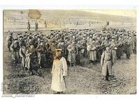 Ryadka kartichka bŭlgarskata pekhota nastŭplenie