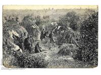 Rară carte poștală tabăra regimentul 51 Iuruk Tepe