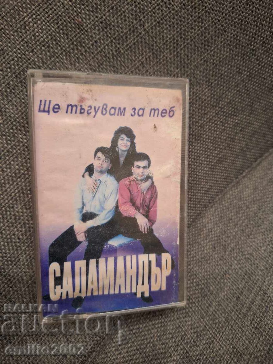 Casetă audio - Salamander Casetă audio - Salamander