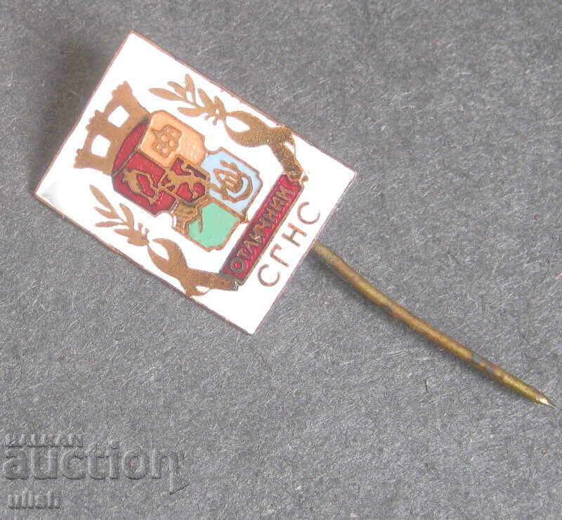 СГНС Софийски народен съвет значка пин емайл