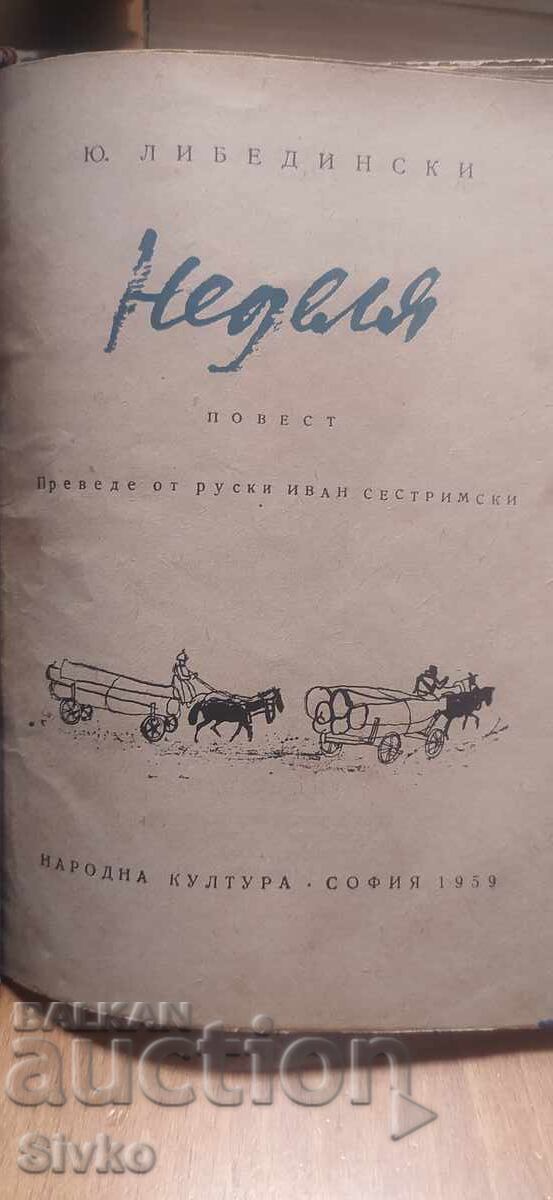 Аукцион Неделя, Ю. Либидински