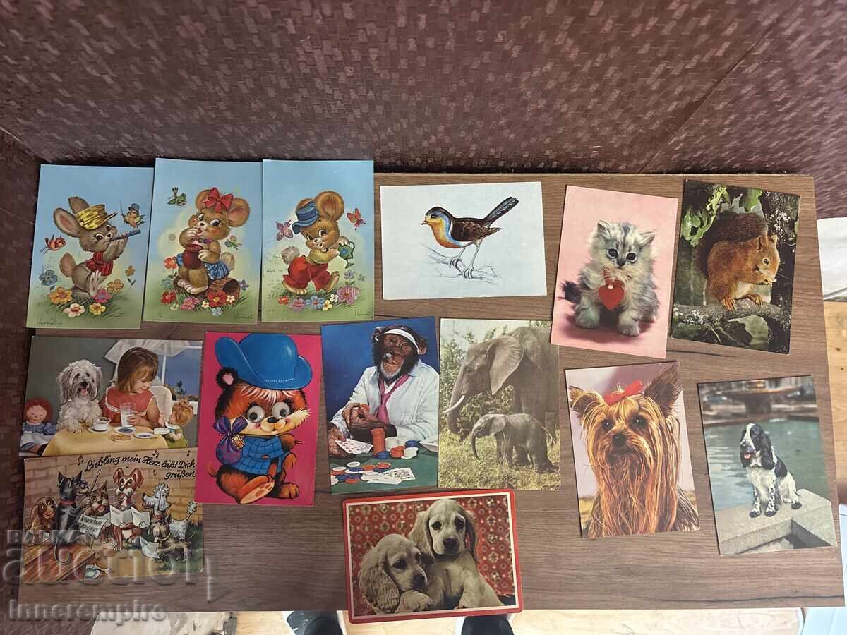 Аукцион Картички с животни