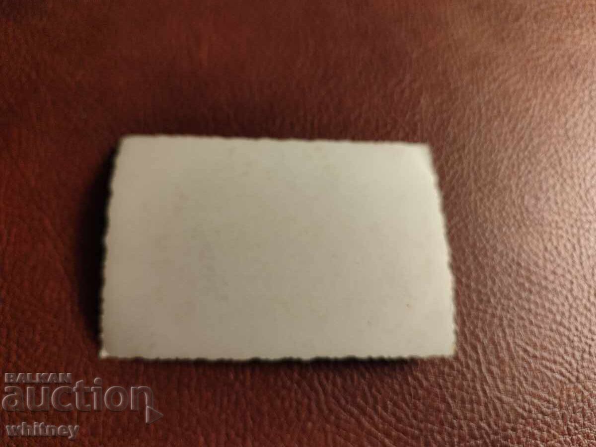 Un tren cu preț € 1.99 | 3.89 BGN