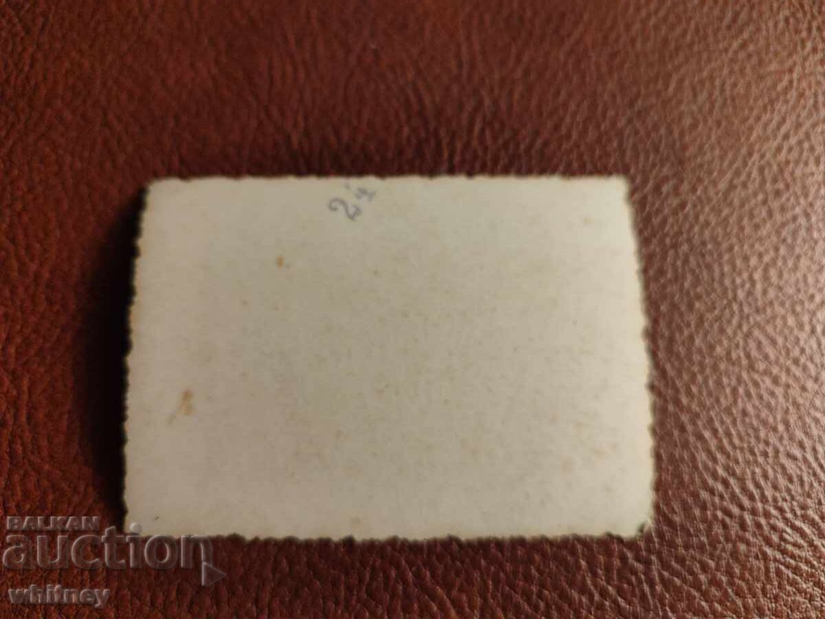 Măceș cu preț € 1.99 | 3.89 BGN