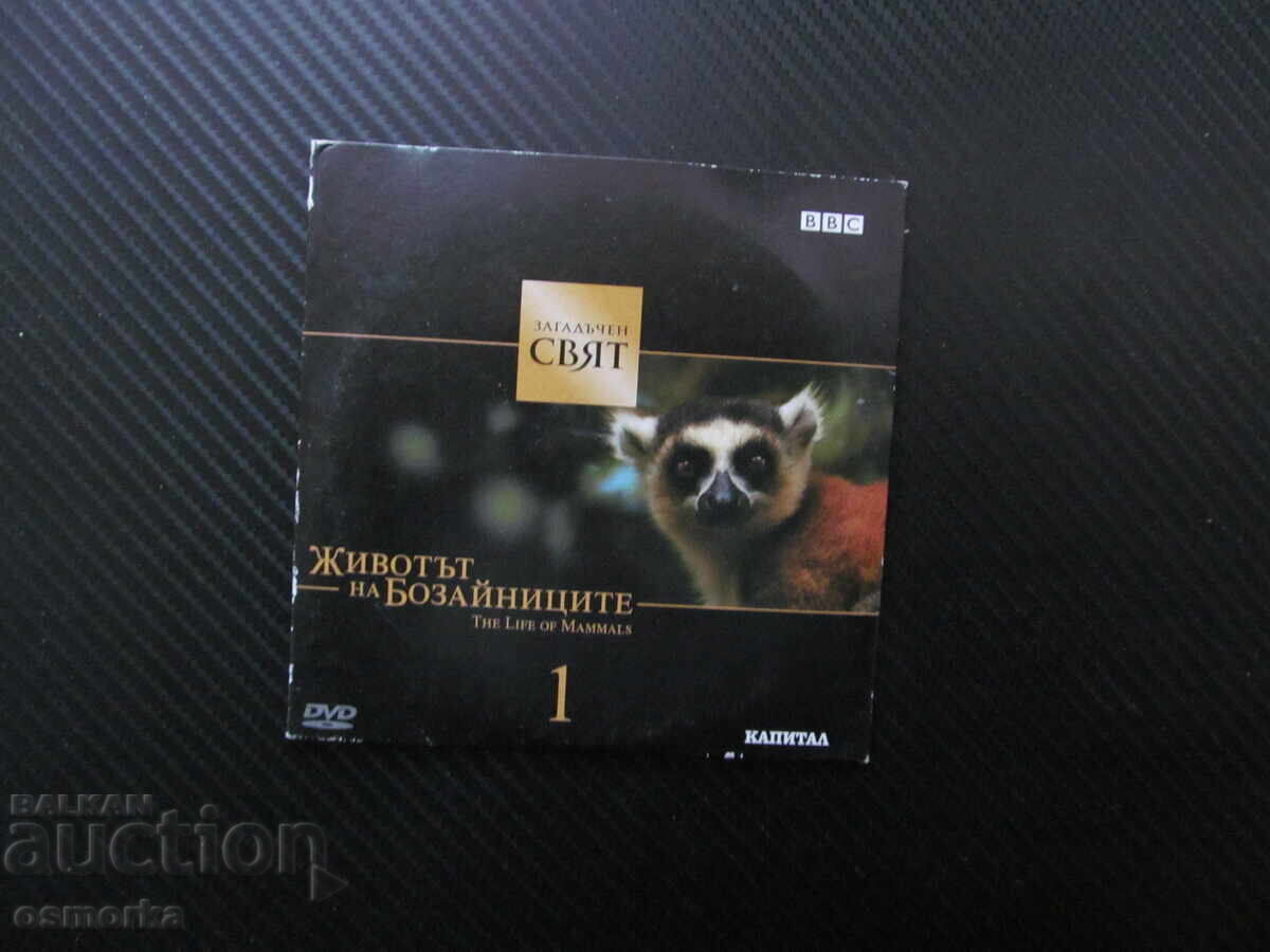 Viața mamiferelor 1 DVD film design reușit vânători Viața mamiferelor 1 DVD film design reușit vânători