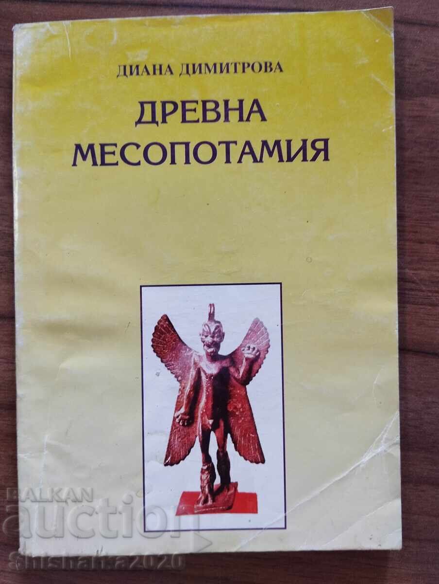 Antica Mesopotamie - Diana Dimitrova