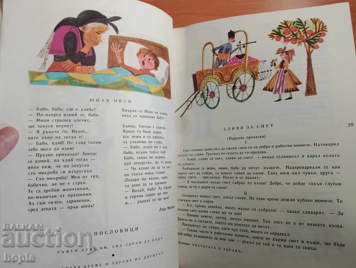 Licitație BUCHINĂ DE SĂNĂTATE