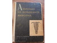 Anatomia animalelor domestice - partea 1 - aparatul locomotor