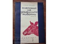 Anatomia animalelor domestice partea III