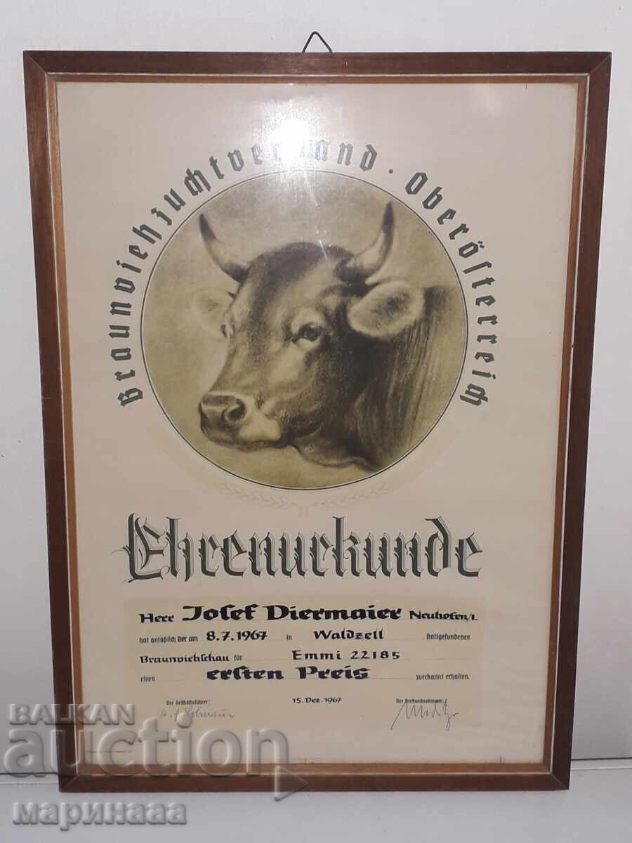 DIPLOMĂ DE ONOARE. 1967. AUSTRIA