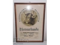DIPLOMĂ DE ONOARE. 1967. AUSTRIA