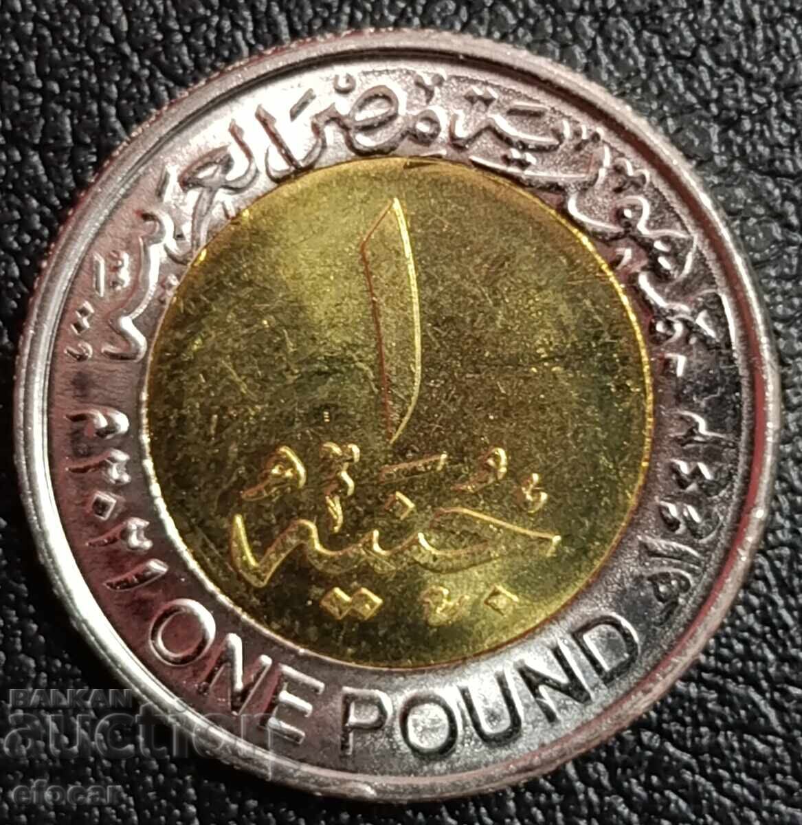 1 λίρα Αιγύπτου 2021 με τιμή € 3.99 | 7.80 BGN 1 λίρα Αιγύπτου 2021 με τιμή € 3.99 | 7.80 BGN